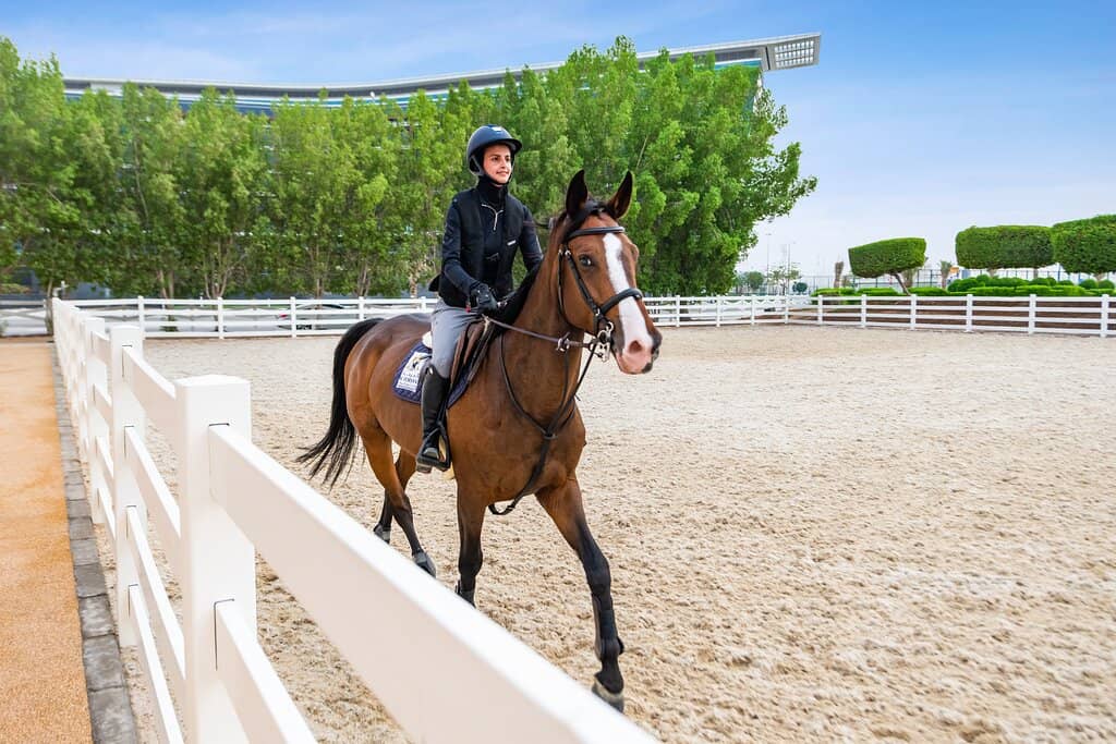 Horseback Riding Adventures