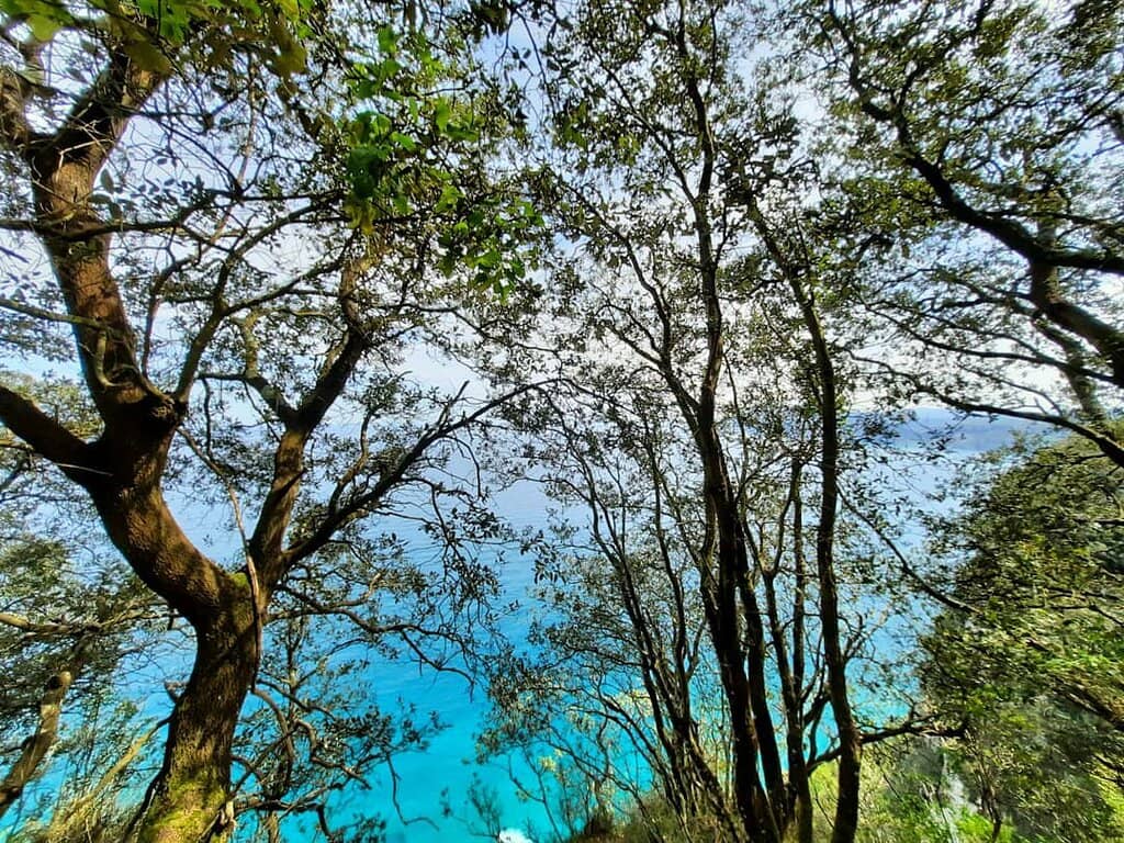 Monte Buciero Summit Views