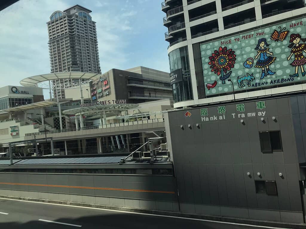 One Piece Merchandise