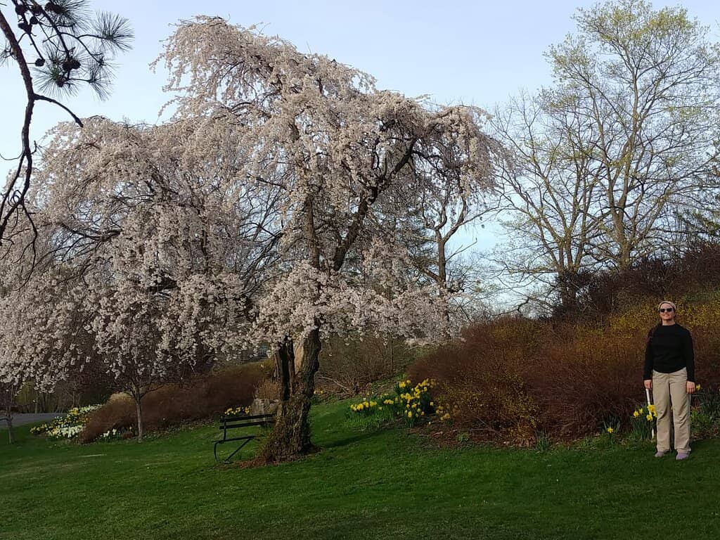 Esopus Creek & Saugerties Bridge