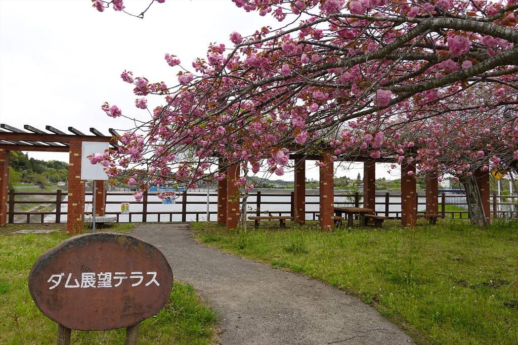 Lakeside Promenade & Parks