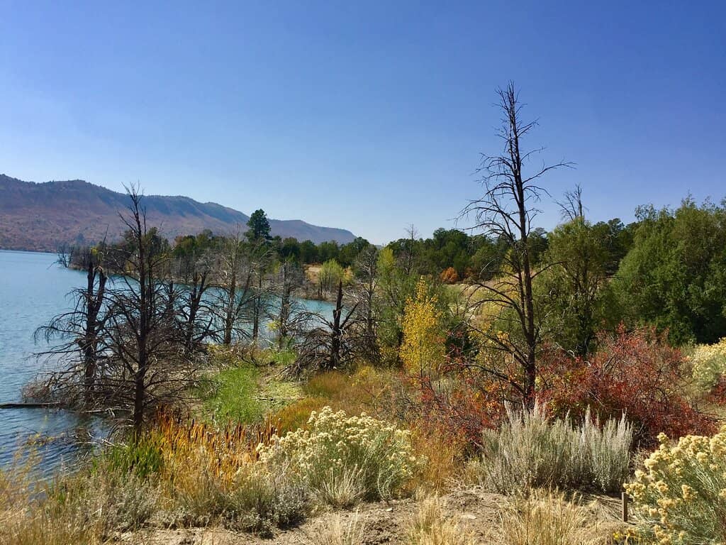 Scenic Boat Launches