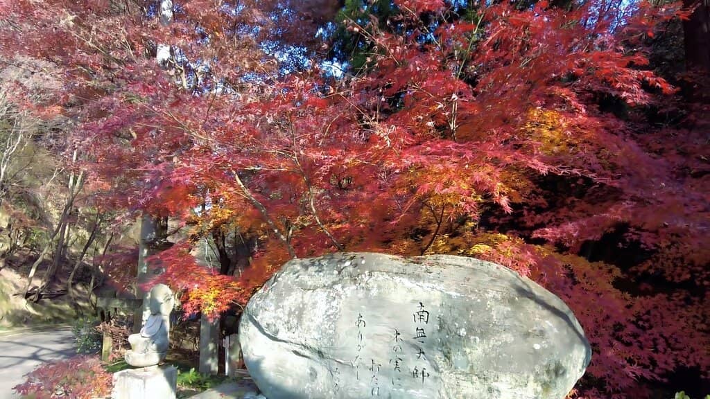 Sunrise Bell Serenity