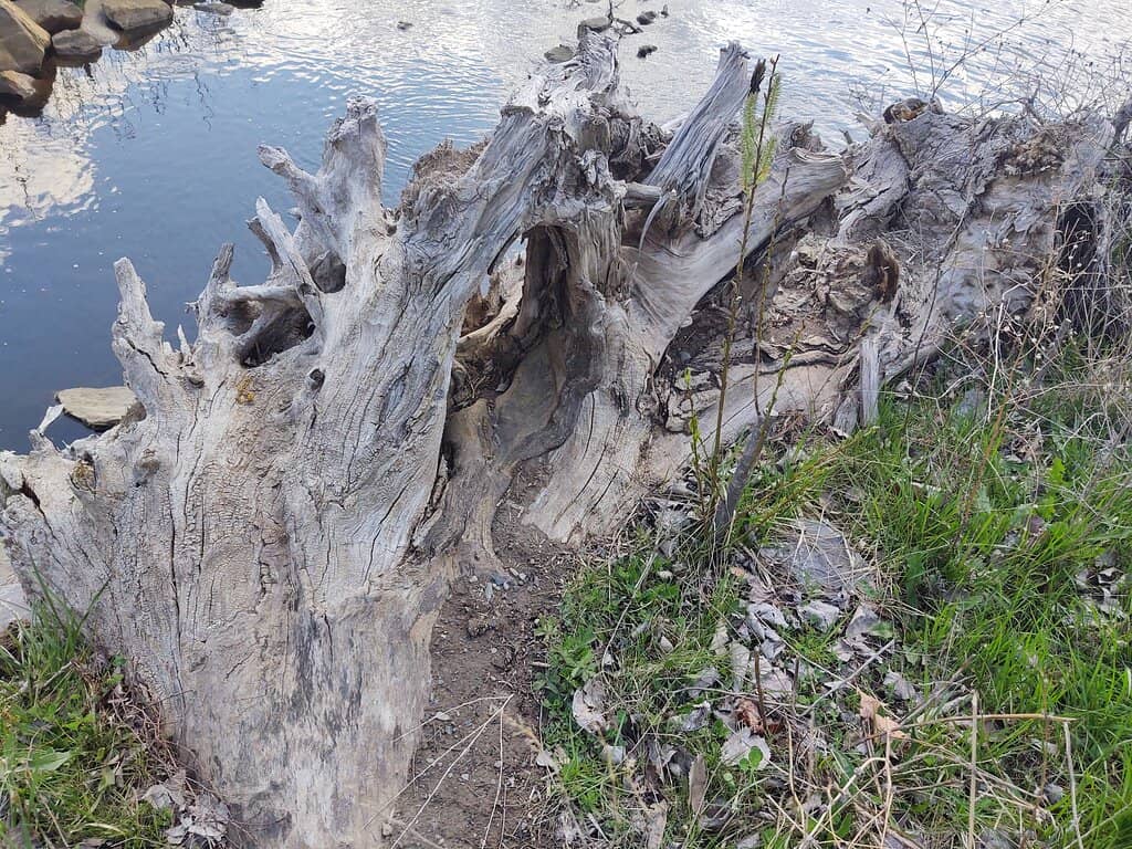 Onondaga Lake Park Trails