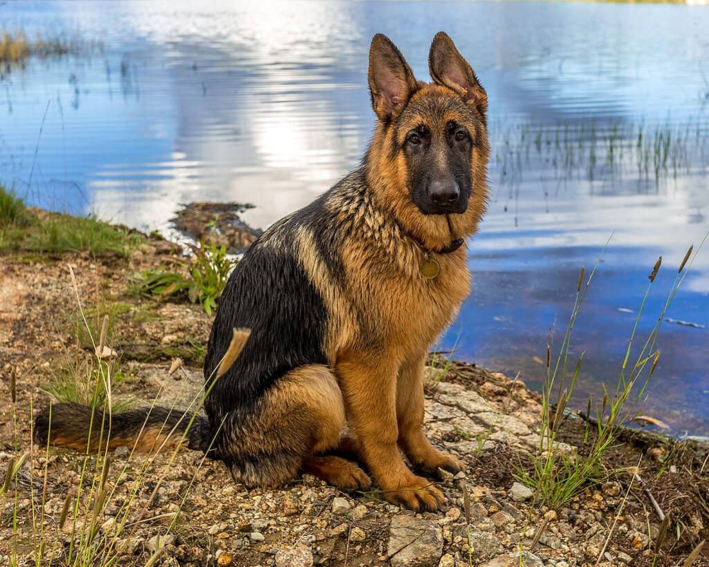 Picnic and BBQ Spots