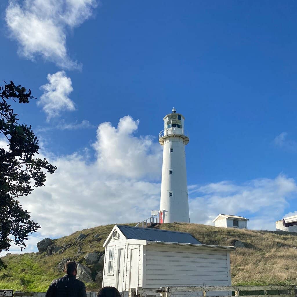 Mount Taranaki Backdrop