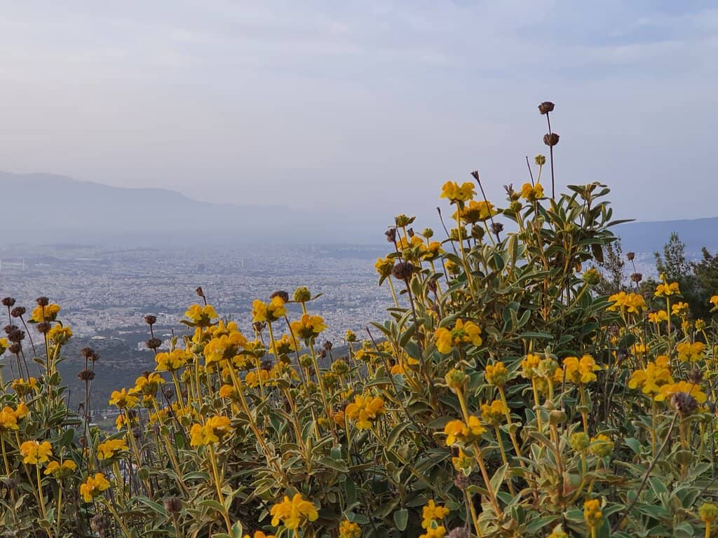 Kaisariani Monastery