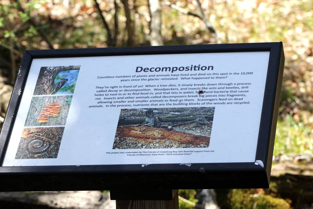 Informational Plaques