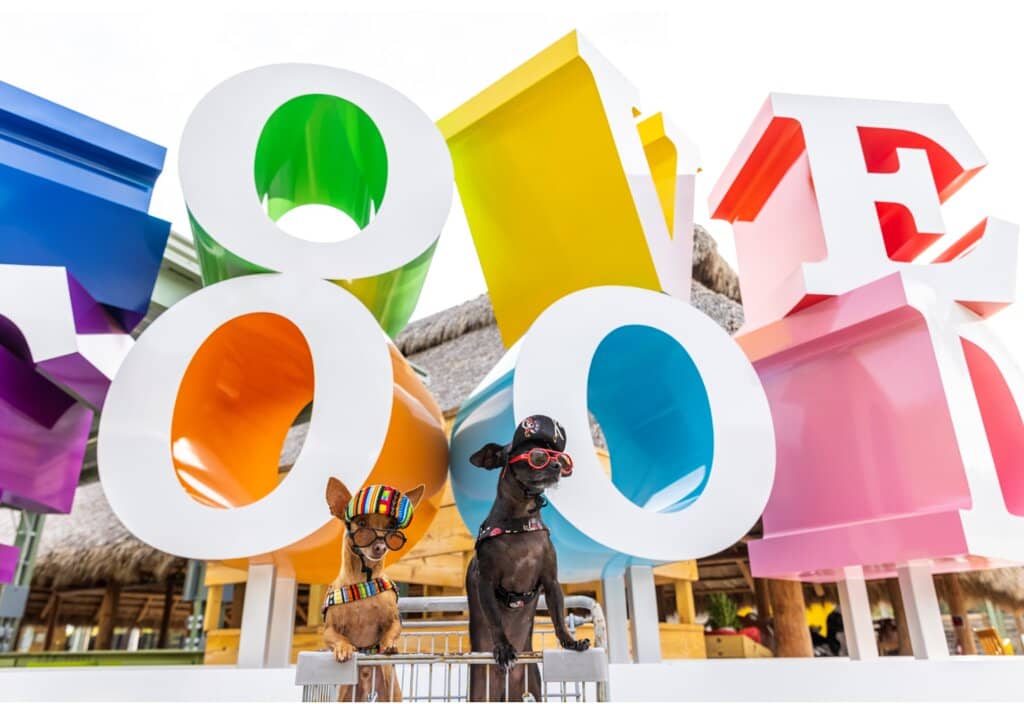 Fresh Produce & Artisanal Goods