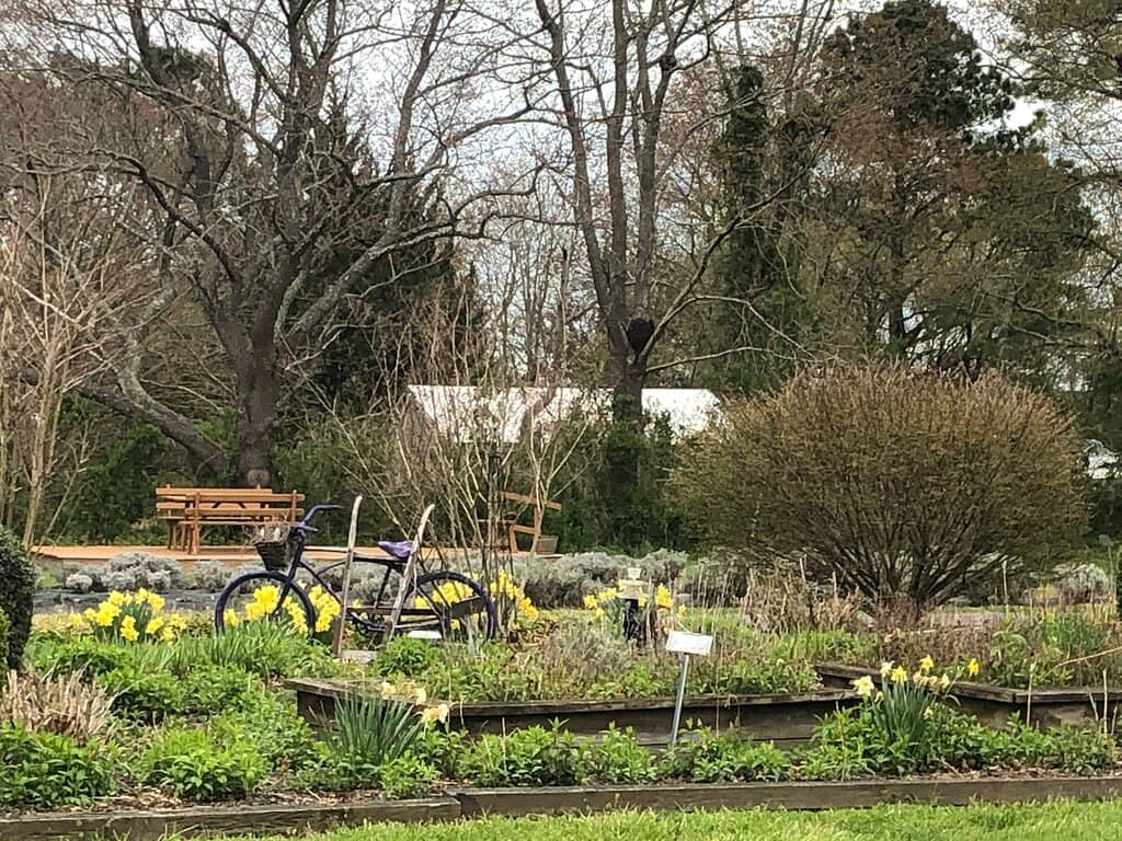 Roadside Photo Stops