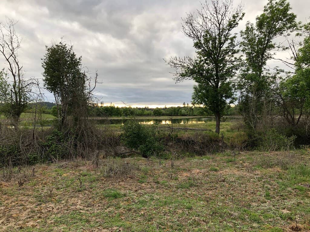 Birdwatching Opportunities