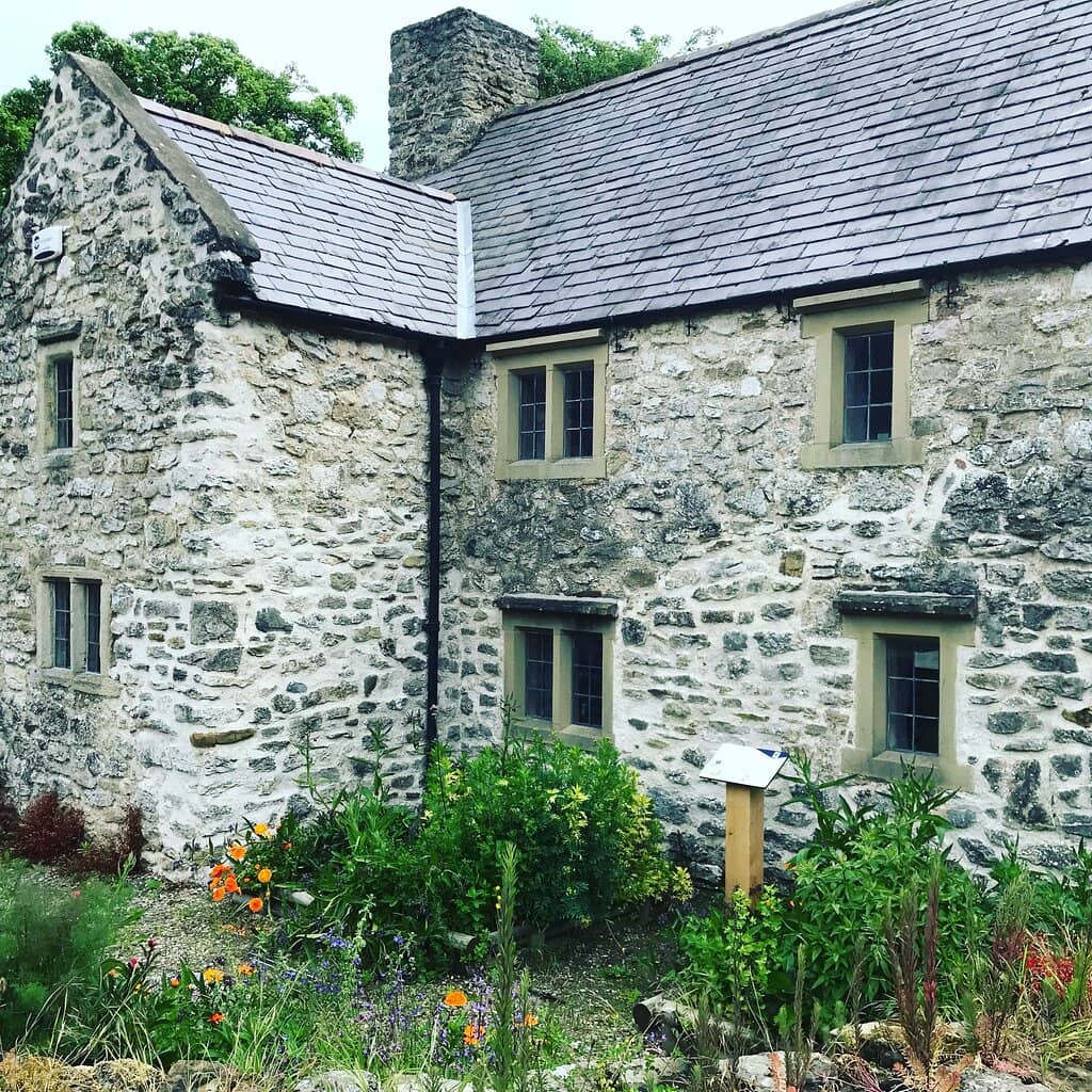 Blooms at Basingwerk House
