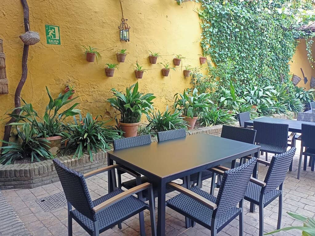 Live Flamenco Performances