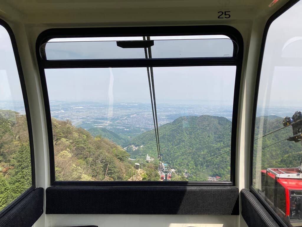 Winter Frost (Soft Rime)