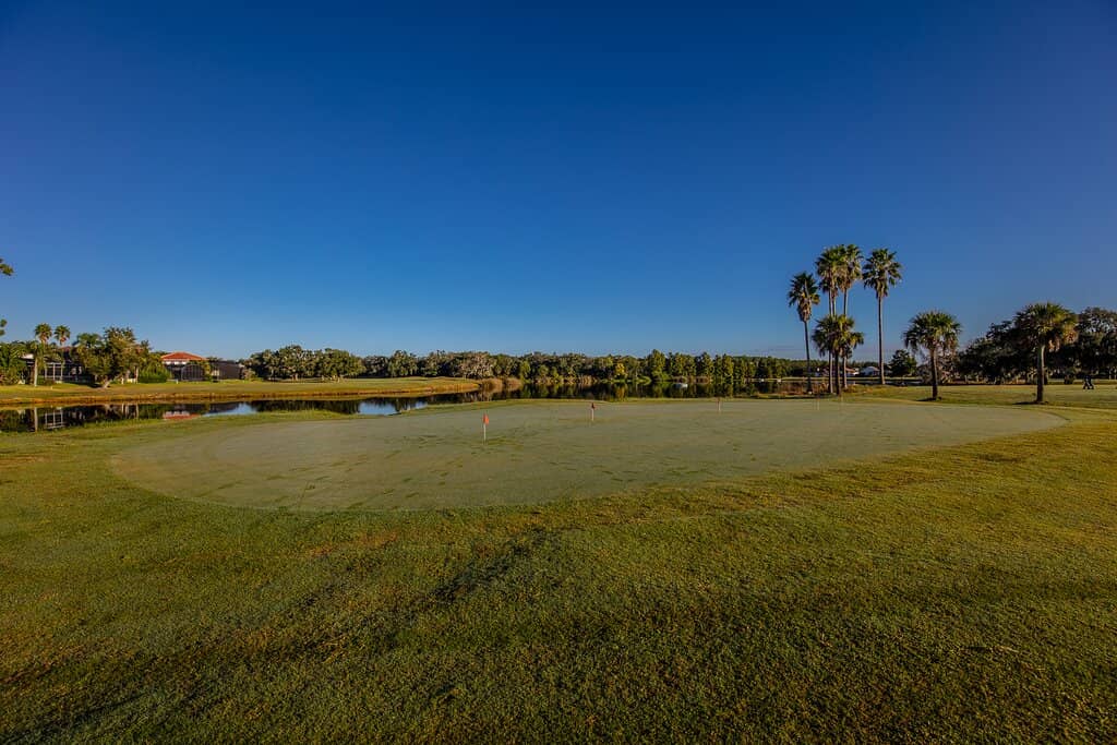 Driving Range Practice