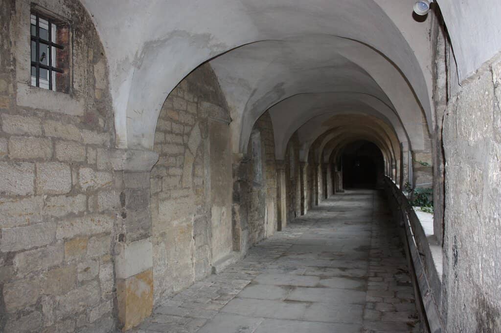 The Thousand-Year Rose