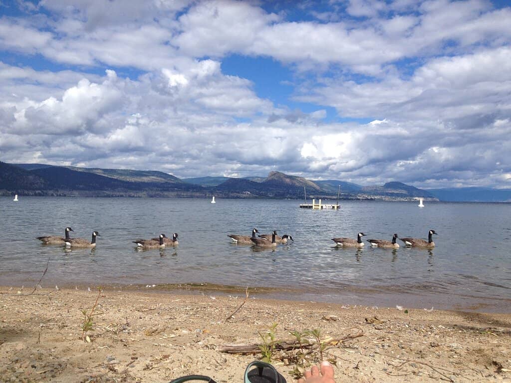 Clothing-Optional Freedom