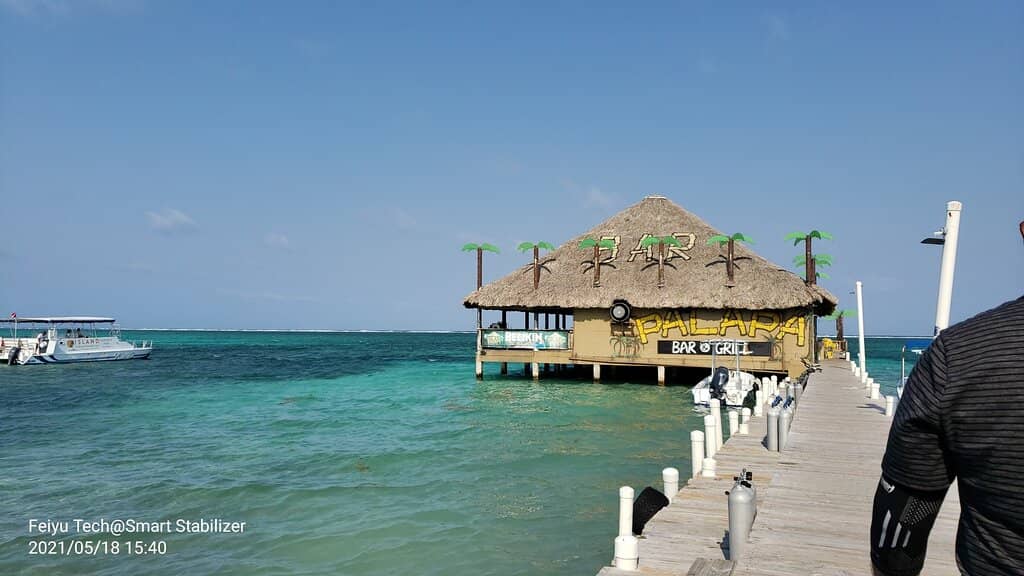 Vibrant Live Music and Atmosphere