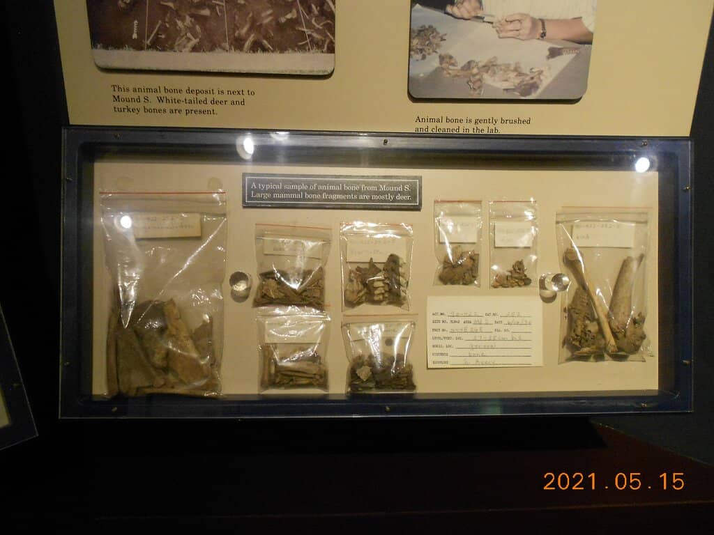 Visitor Center Museum