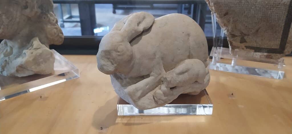 Insights from Knowledgeable Staff