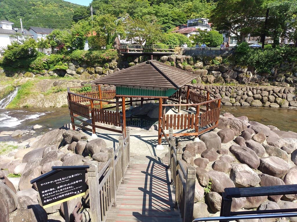 Vertical photo