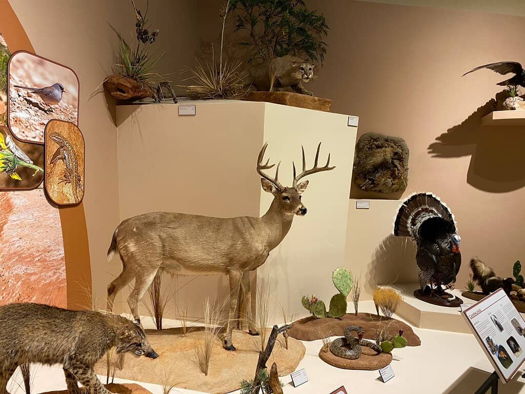 Lubbock Lake Landmark