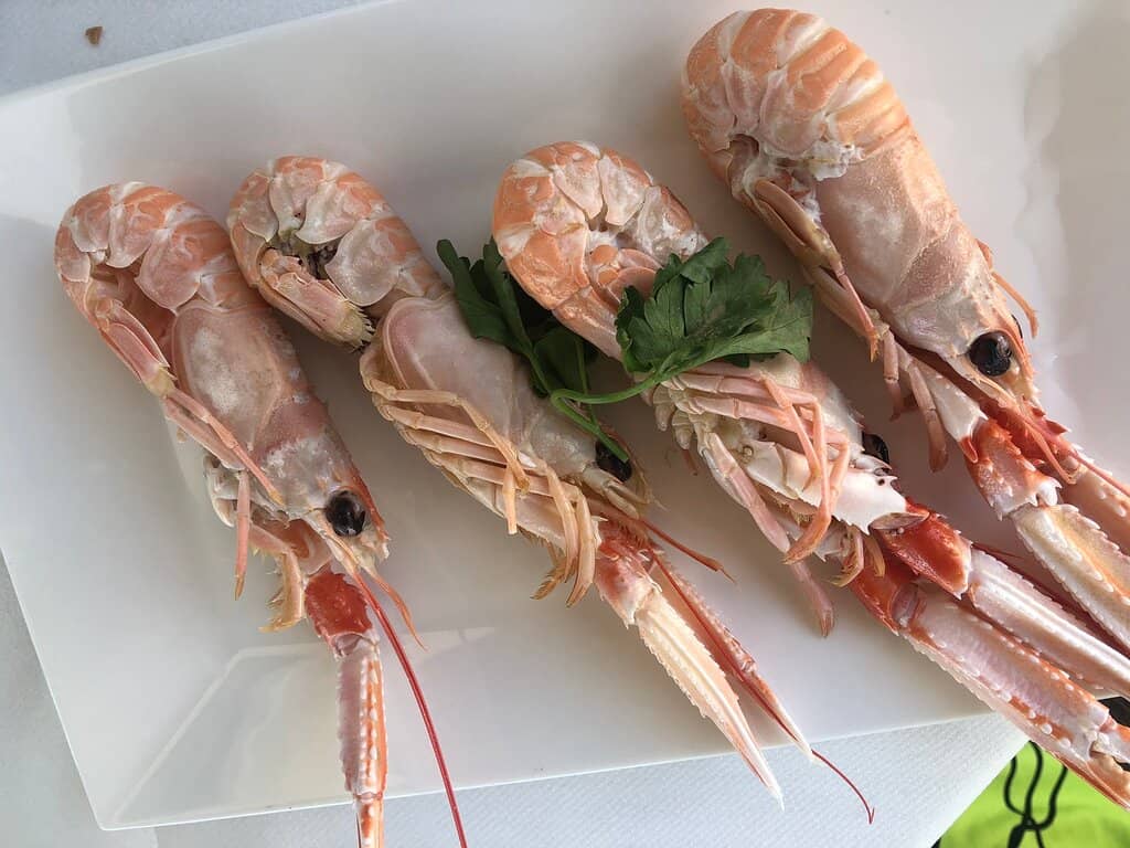 Riviera delle Palme Promenade