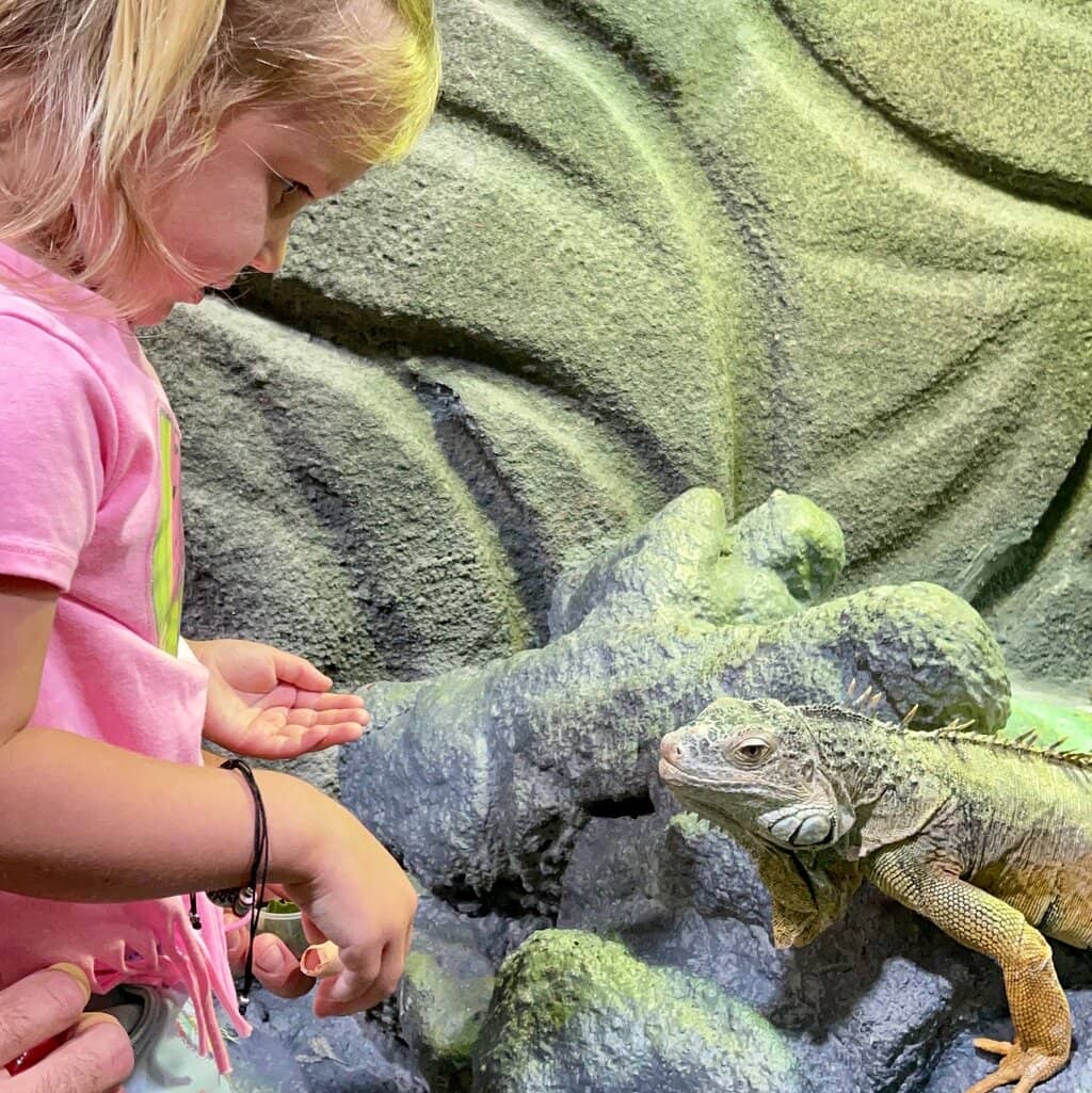 Interactive Touch Pools