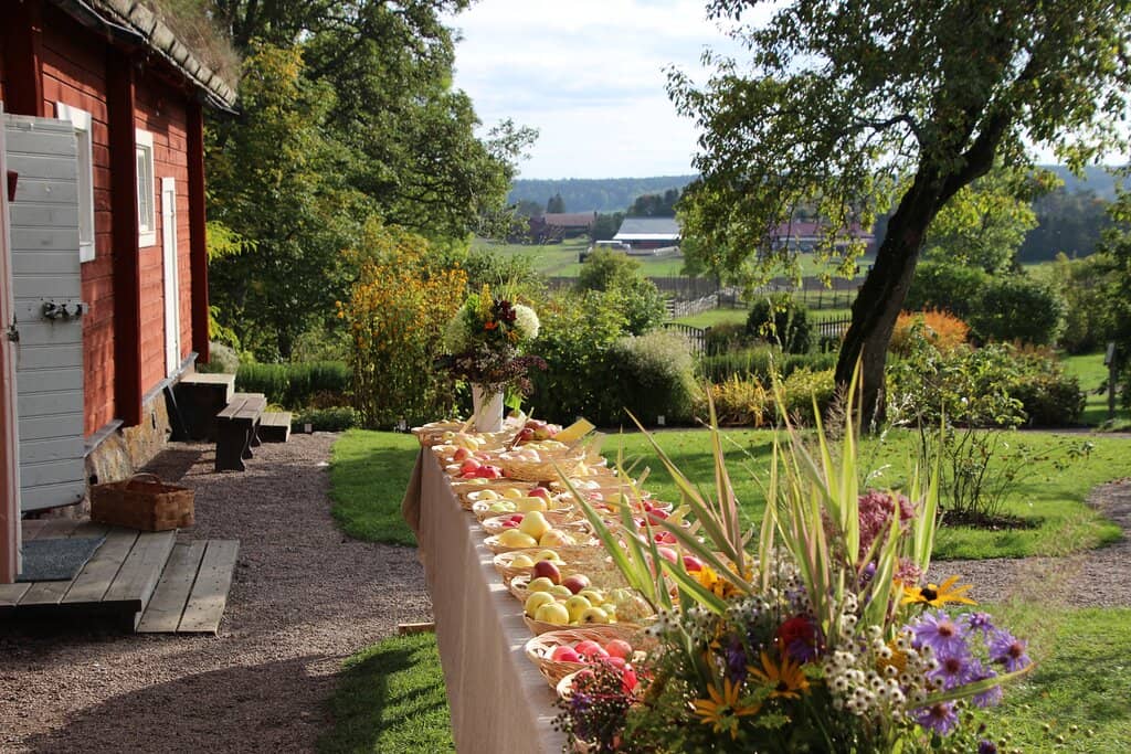 Beautiful Swedish Skies