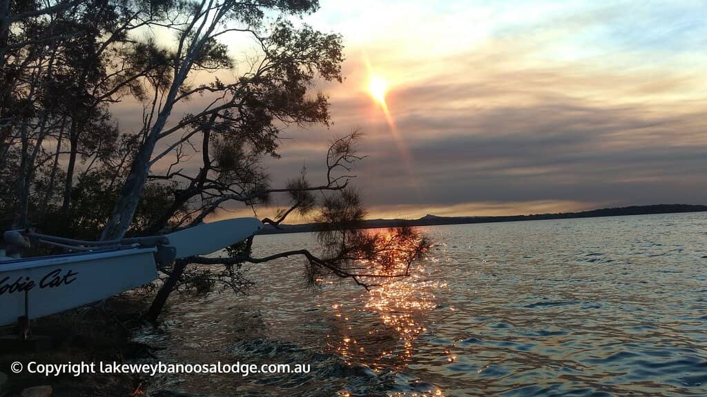 Wildlife Viewing Opportunities