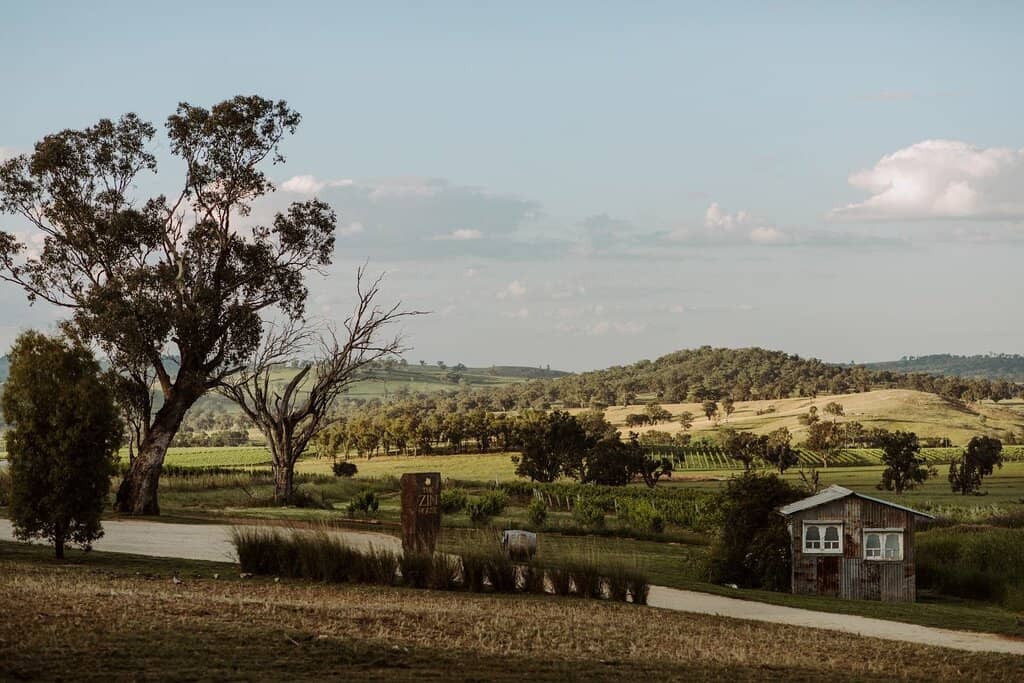 Deluxe Picnic Hampers