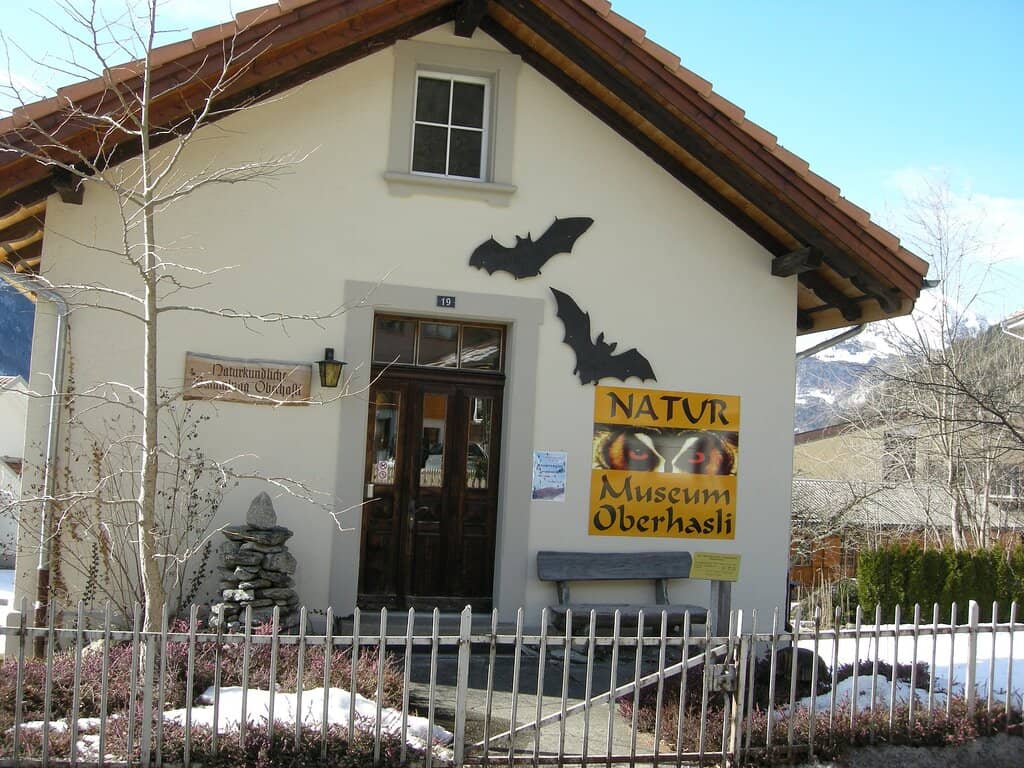 Local Heritage Insights