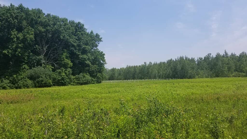 Historic Battlefield Loop