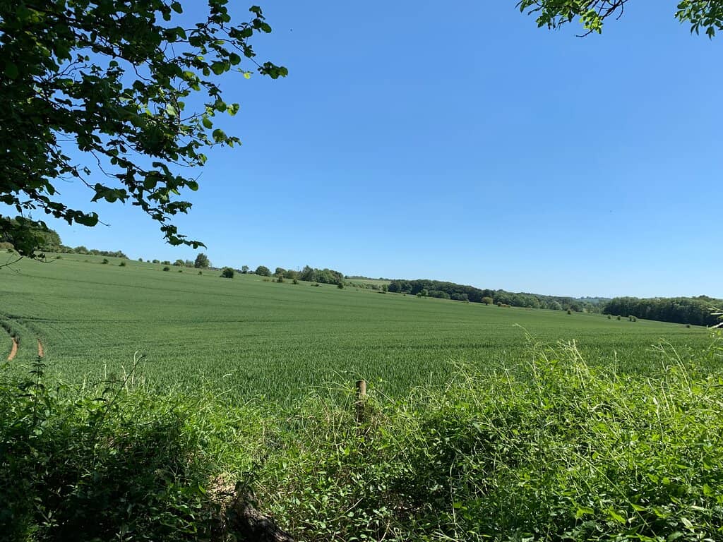 Woodland Walking Trails