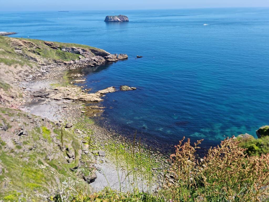 Cliffside Coastal Walk
