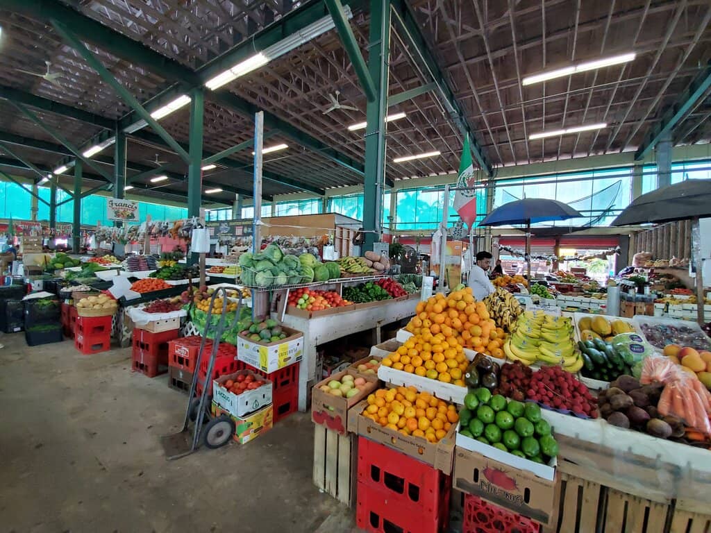 Diverse Flea Market Finds