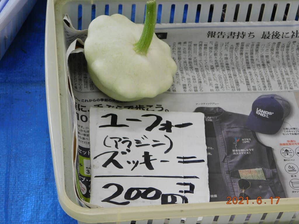 Seasonal Vegetable Bounty