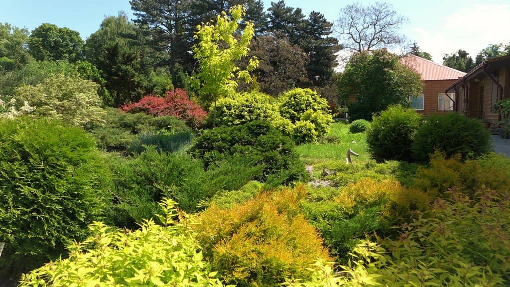 Spring Blossom Spectacle