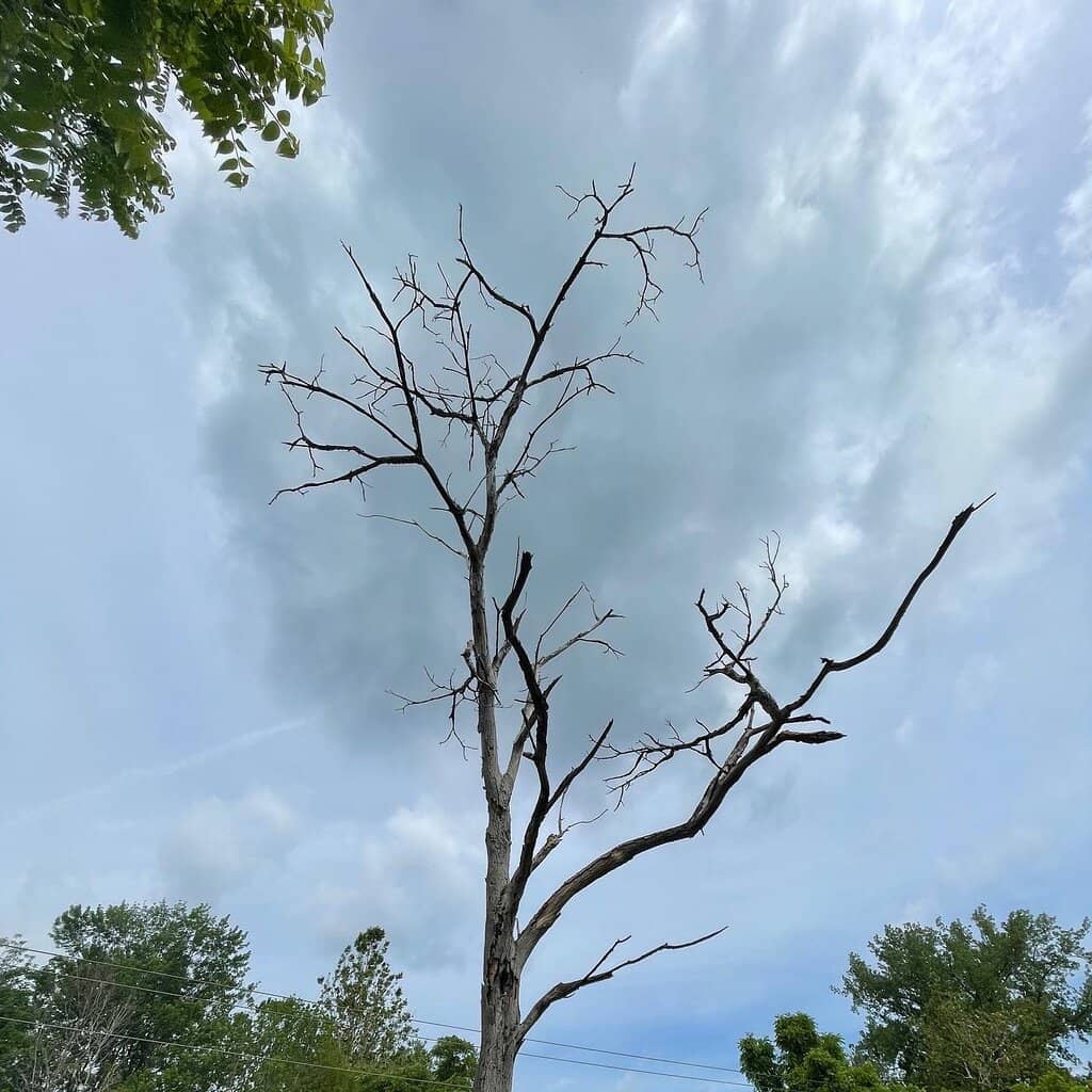Green Lakes State Park