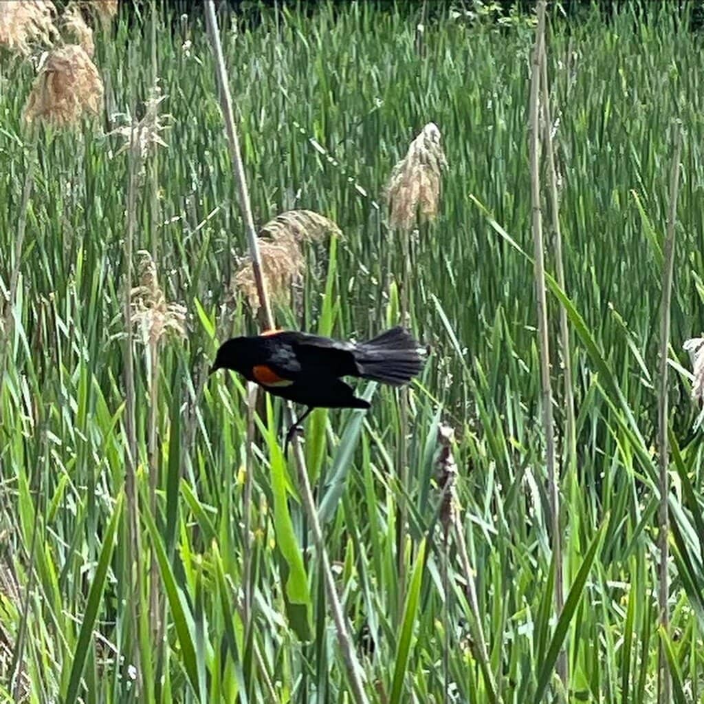 Green Lakes State Park