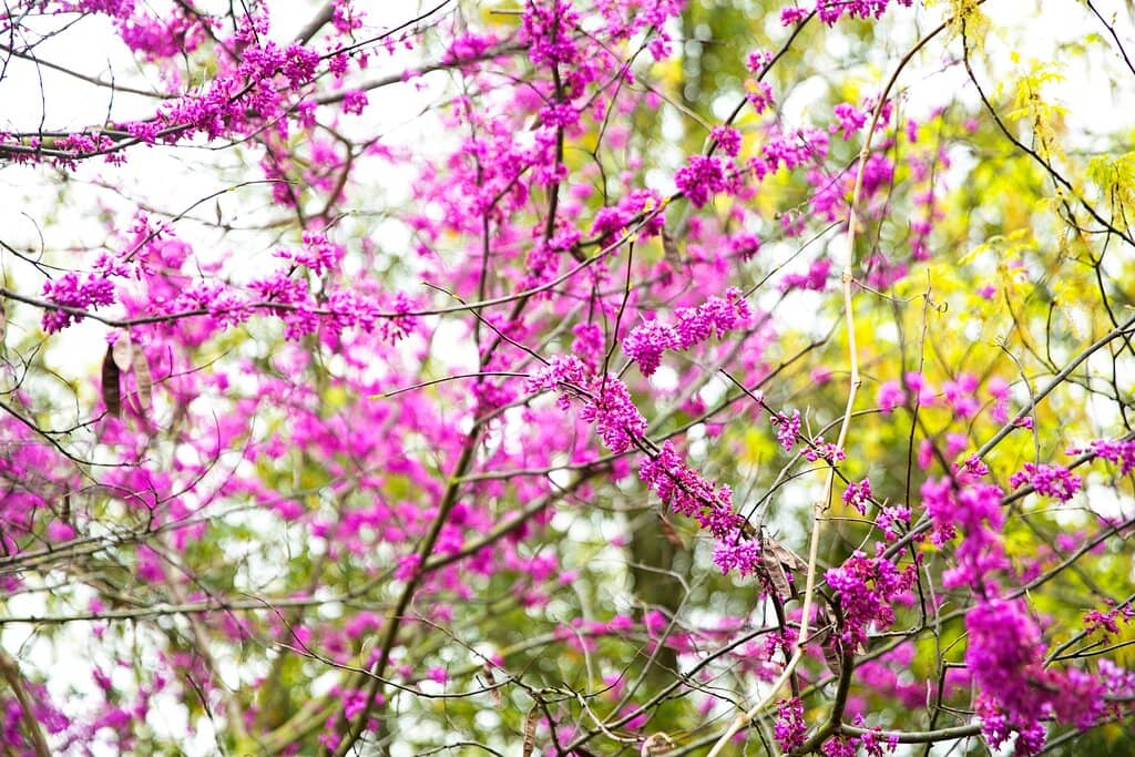 Interactive Kids' Area