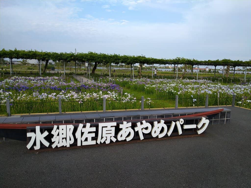Traditional Boat Rides