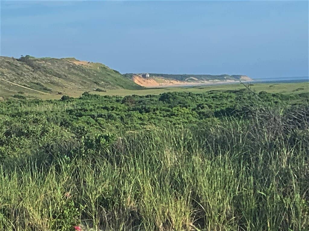 Rocky Shoreline Exploration