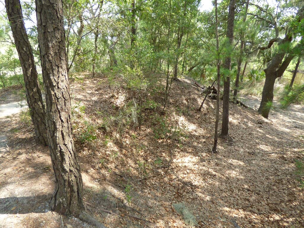 Historic Earthen Fort Remains