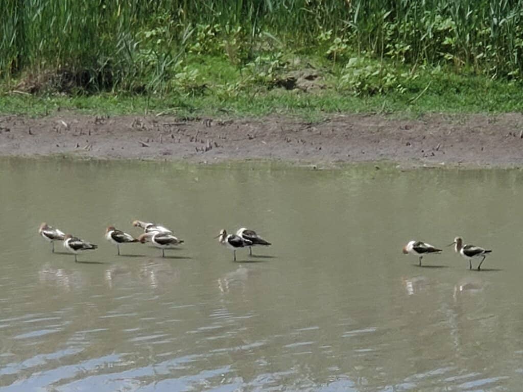 Visitor Center Exhibits