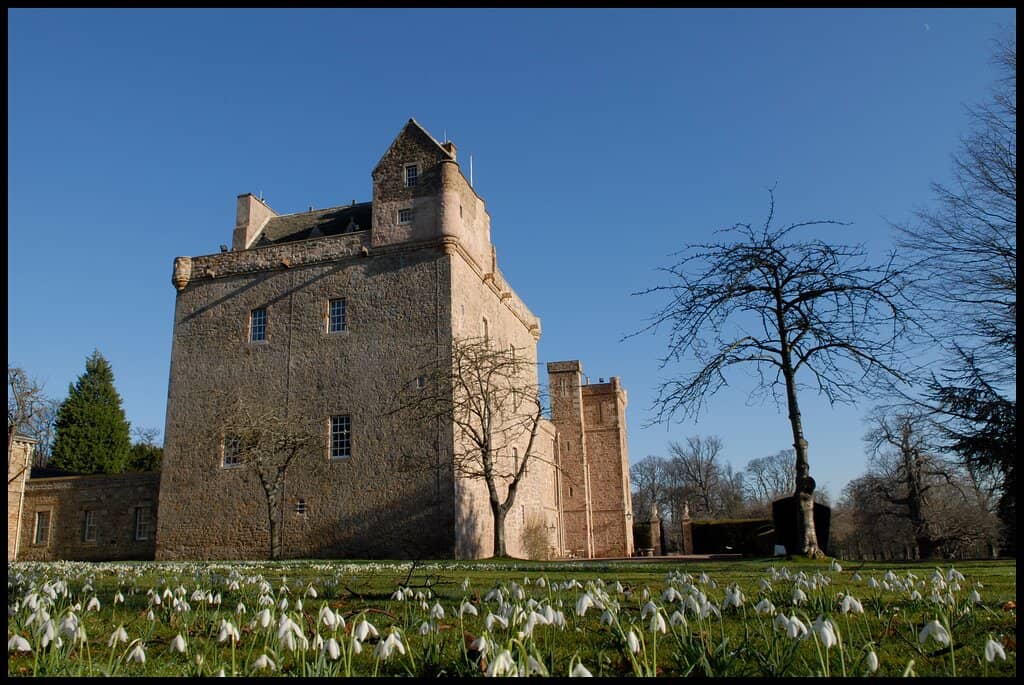 The White Park Cattle