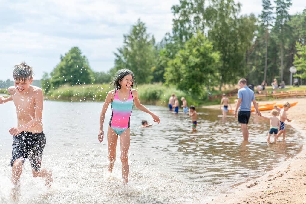Petting Zoo & Playgrounds