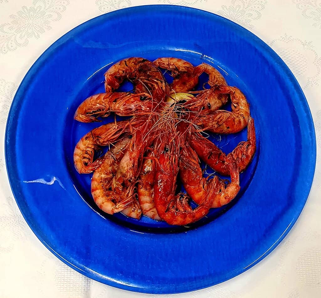 Picturesque Marina Views