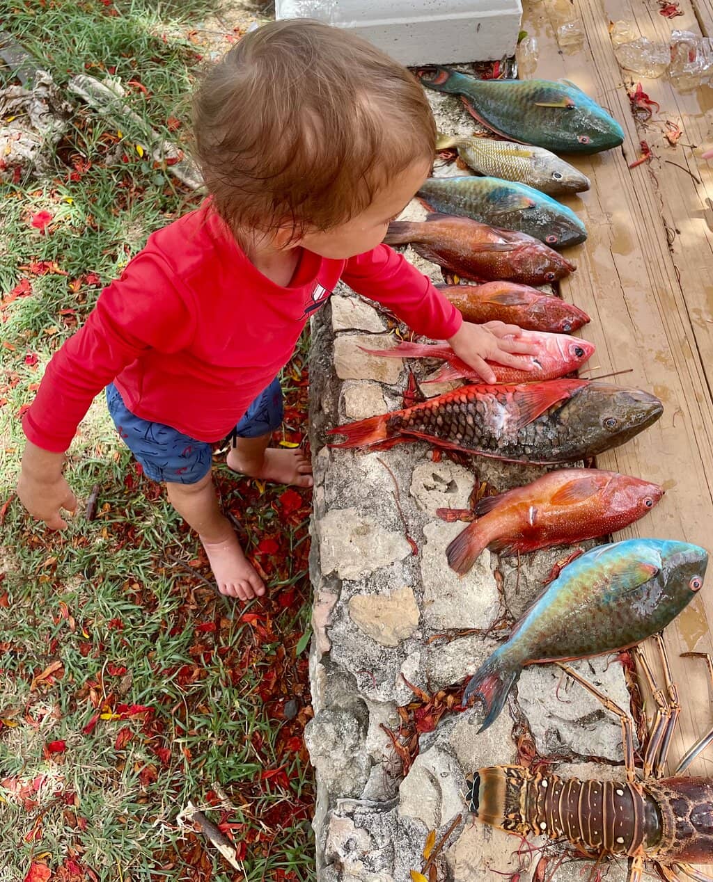 Artisan Goods & Juices