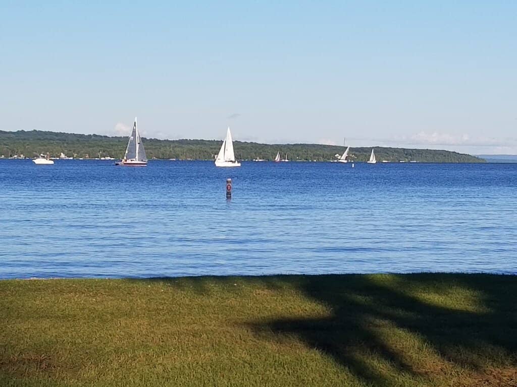 Stunning Garden Oasis